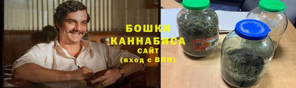 индика Белоозёрский