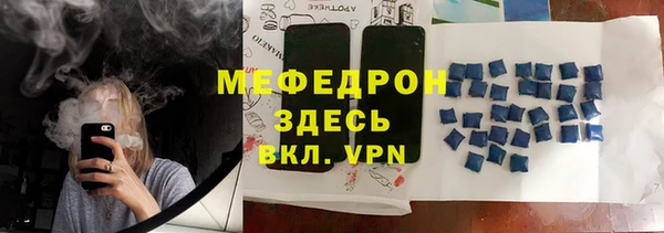 индика Белокуриха