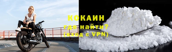 индика Белоозёрский