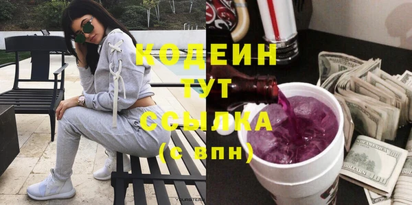индика Белокуриха