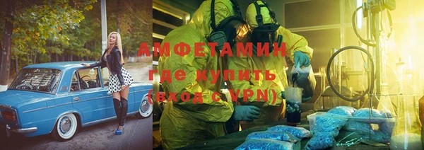 индика Белокуриха