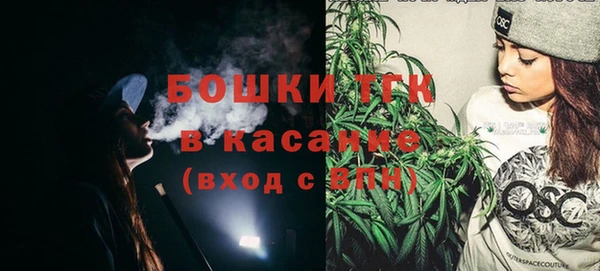 индика Белоозёрский