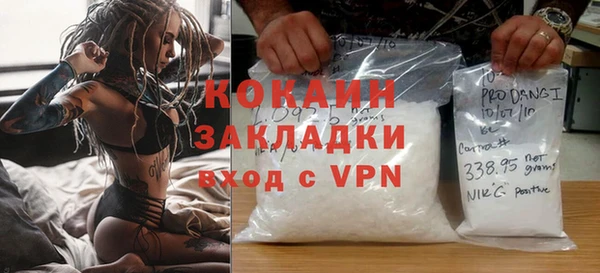 индика Белокуриха
