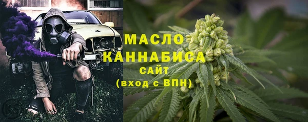 индика Белокуриха