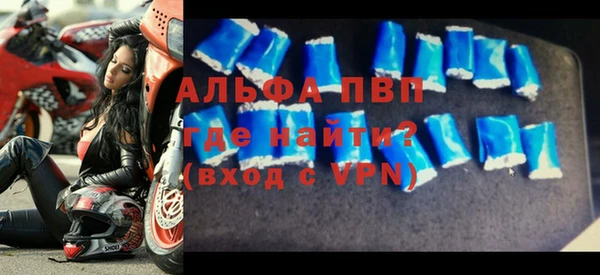 индика Белоозёрский