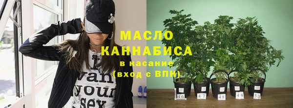 индика Белокуриха