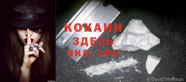 индика Белокуриха