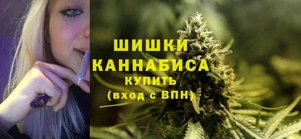 индика Белокуриха