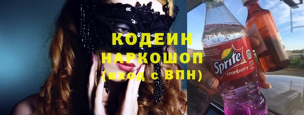 индика Белокуриха
